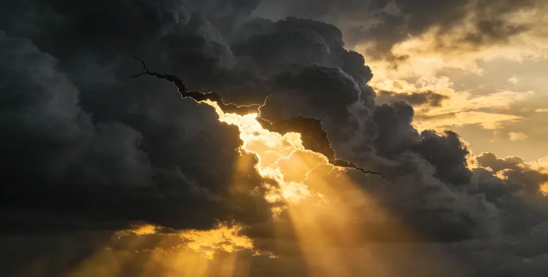 安庆肺癌8基因突变检测（组织）图片1