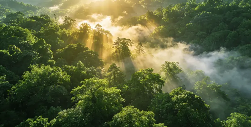 安庆肺癌靶向120基因检测（组织）图片1